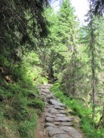 IMG_6312.jpg, 45kB